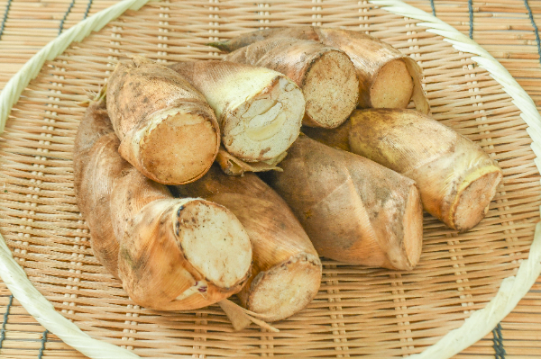たけのこ　2kg　7-9本入
