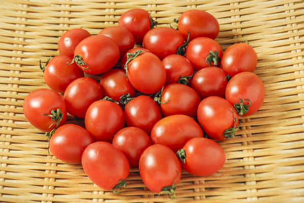 キャロルスター