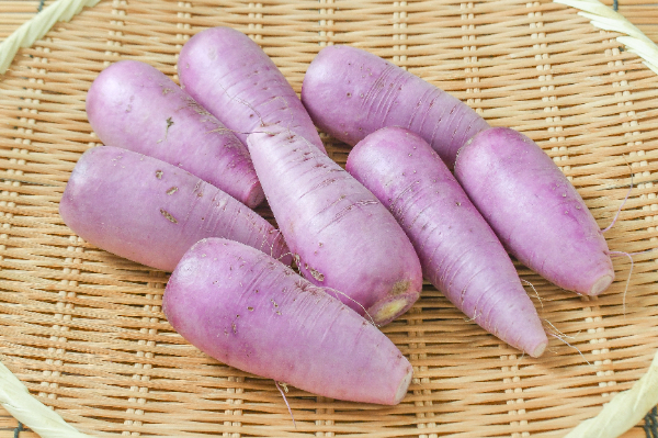 紫大根（味一）1kg