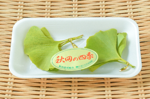 イチョウ葉（黄色）