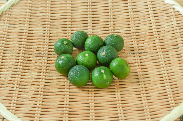 すだち（L）10入