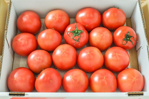 大玉トマト（M）（18玉サイズ）（秀）箱1