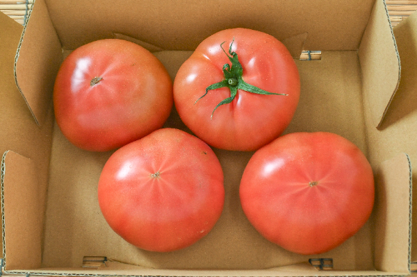 大玉トマト（AS）（28玉サイズ） 【業務用食材の仕入れなら八面六臂】