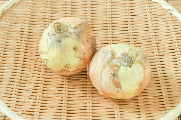 新玉ねぎ（2L）1kg（佐賀県）