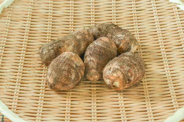 里芋 八頭 種芋 種 箱込み2キロ 富士山麓産 - メルカリ