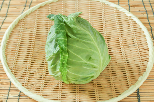 グリーンボール（丸キャベツ）（9玉サイズ）