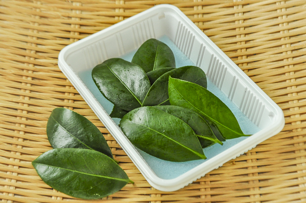 葉つばき 【業務用食材の仕入れなら八面六臂】