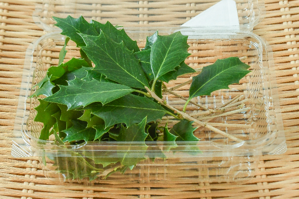 ゆずり葉（12-13cm） 【業務用食材の仕入れなら八面六臂】