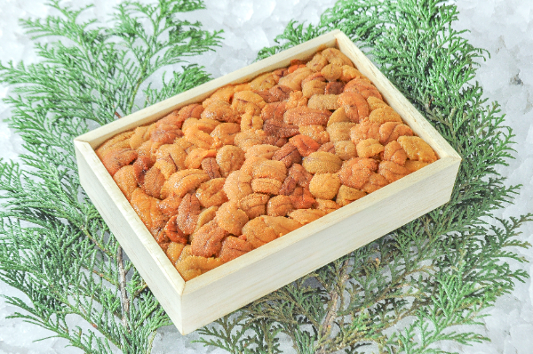 ウニ／クロウニ棘付き標本5個 No.157 ウニ様専用／クロウニ棘付き標本5