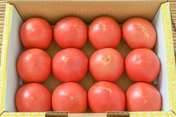 中玉トマト（スイートマイルド）（M）（A）（12玉サイズ）箱1kg