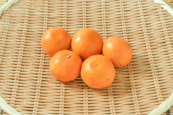 みかん（山下紅）（早生）（S）（丸秀）500gr