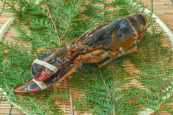 生冷オマール海老　600-700gr