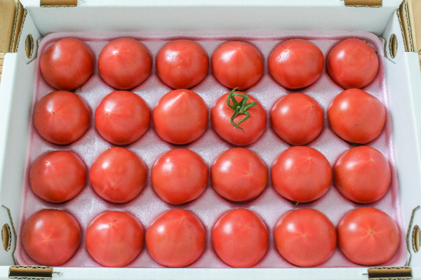 大玉トマト（2L）（15玉サイズ） 【業務用食材の仕入れなら八面六臂】