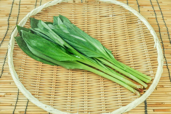 行者にんにく 【業務用食材の仕入れなら八面六臂】