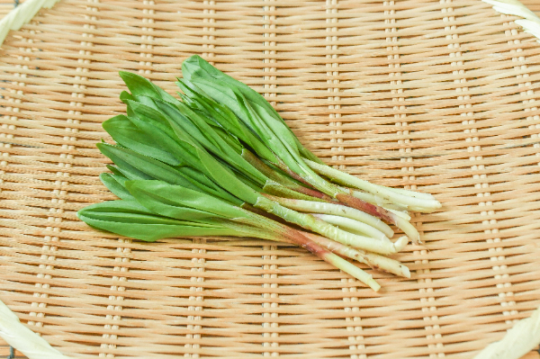 行者にんにく　50gr