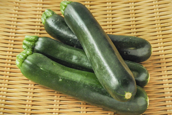 花ズッキーニ 八面六臂