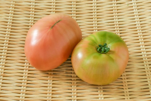 大玉トマト（C3L）（11玉サイズ）