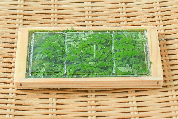 木の芽 【業務用食材の仕入れなら八面六臂】