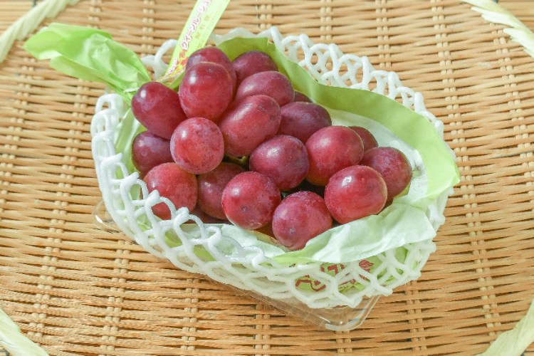 悟紅玉 【業務用食材の仕入れなら八面六臂】
