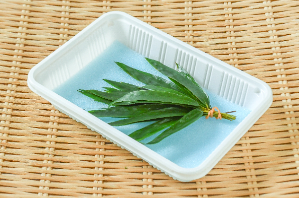 小笹