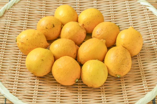 レモン（2S）（丸秀）1kg