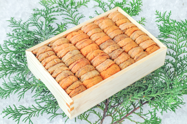 バフンウニ（A並び）