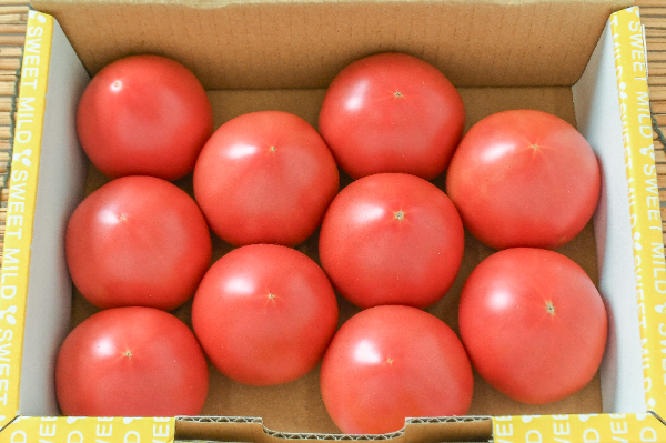 中玉トマト（スイートマイルド）（L）（A）（10玉サイズ）箱1kg
