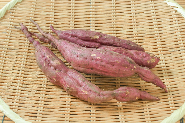 鳴門金時（2S）