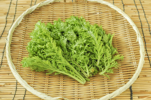 サラダわさび菜 八面六臂