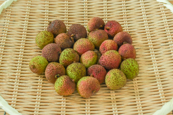 ライチ 500gr
