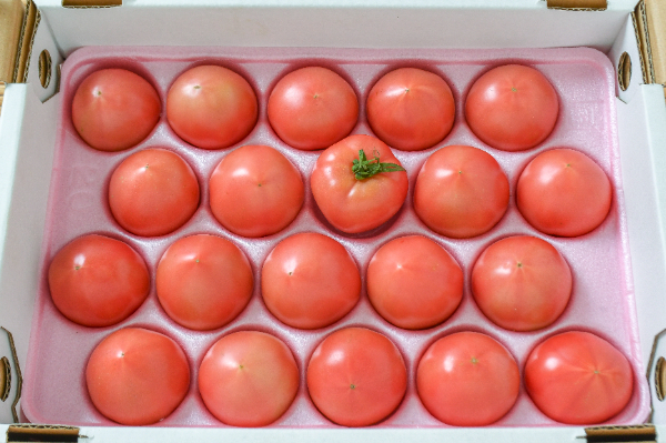 中玉トマト（濃縮トマト）（20玉サイズ）箱1kg