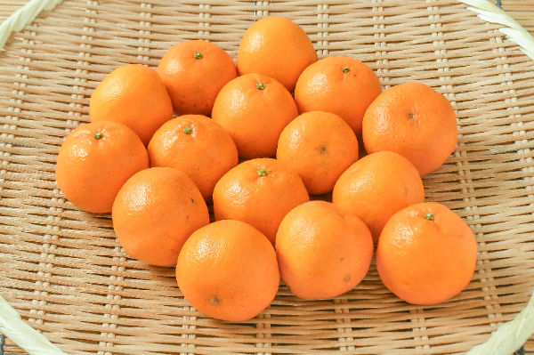 ポンカン（2S）（秀）1kg