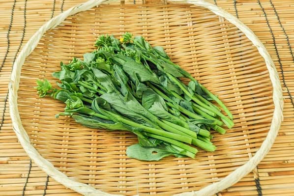奥村さんのキャベツの花 八面六臂