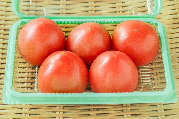 赤い恋人トマト