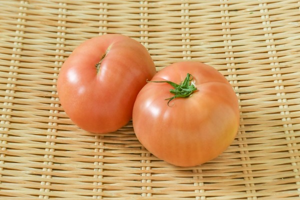 大玉トマト（C2L）（15玉サイズ）