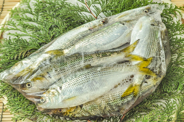 小魚・川魚（冷蔵） 【業務用食材の仕入れなら八面六臂】