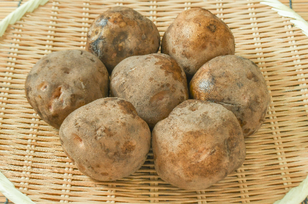 キタアカリ（3L）2kg