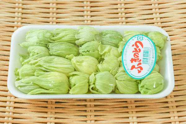 ふきのとう（S）