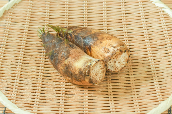 たけのこ（3S）500gr