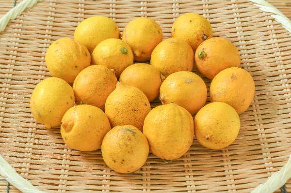 レモン（3S）1kg