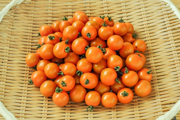 ミニトマト（オレンジ）