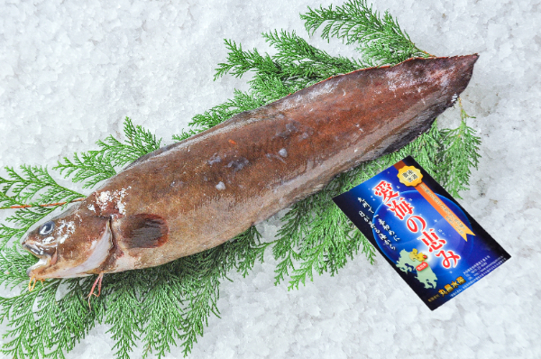 愛海の恵み（丸昌水産）　イタチウオ（大分県佐伯産）