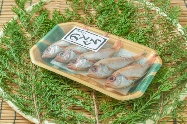 のどぐろ丸干し　5尾入