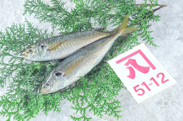 かねはち　マルアジ（静岡県沼津産）