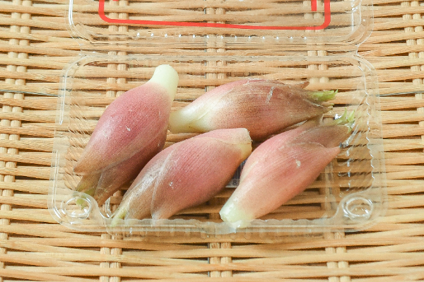 茗荷（特A）50gr