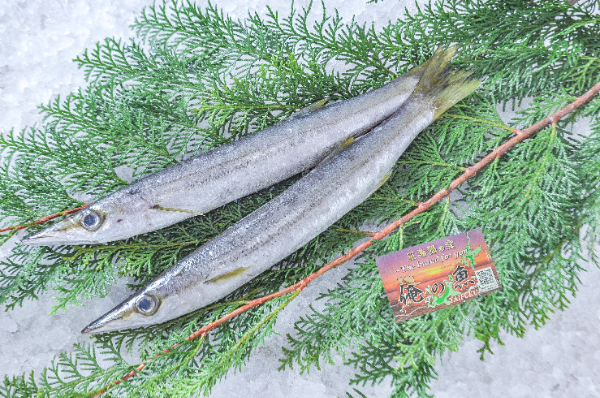 刺し網三枚網2反セット