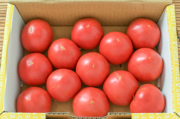中玉トマト（スイートマイルド）（M）（A）（13玉サイズ）箱1kg