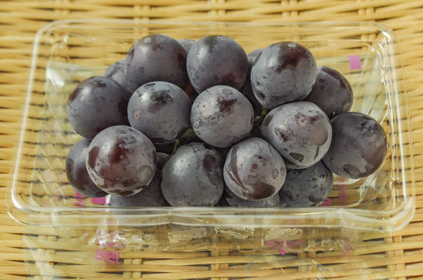 ピオーネ 八面六臂