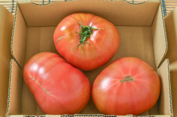 トマト（BL）（小箱）1kg