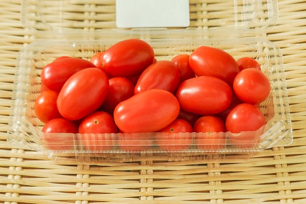 イタリアントマト（ロッソナポリタン）（S）（有機栽培）
